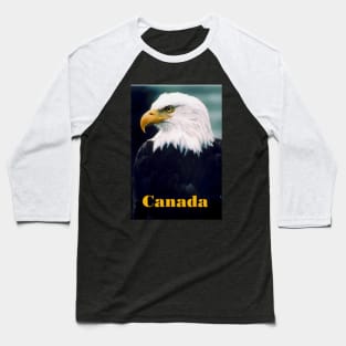 Eagle Portrait . Baseball T-Shirt